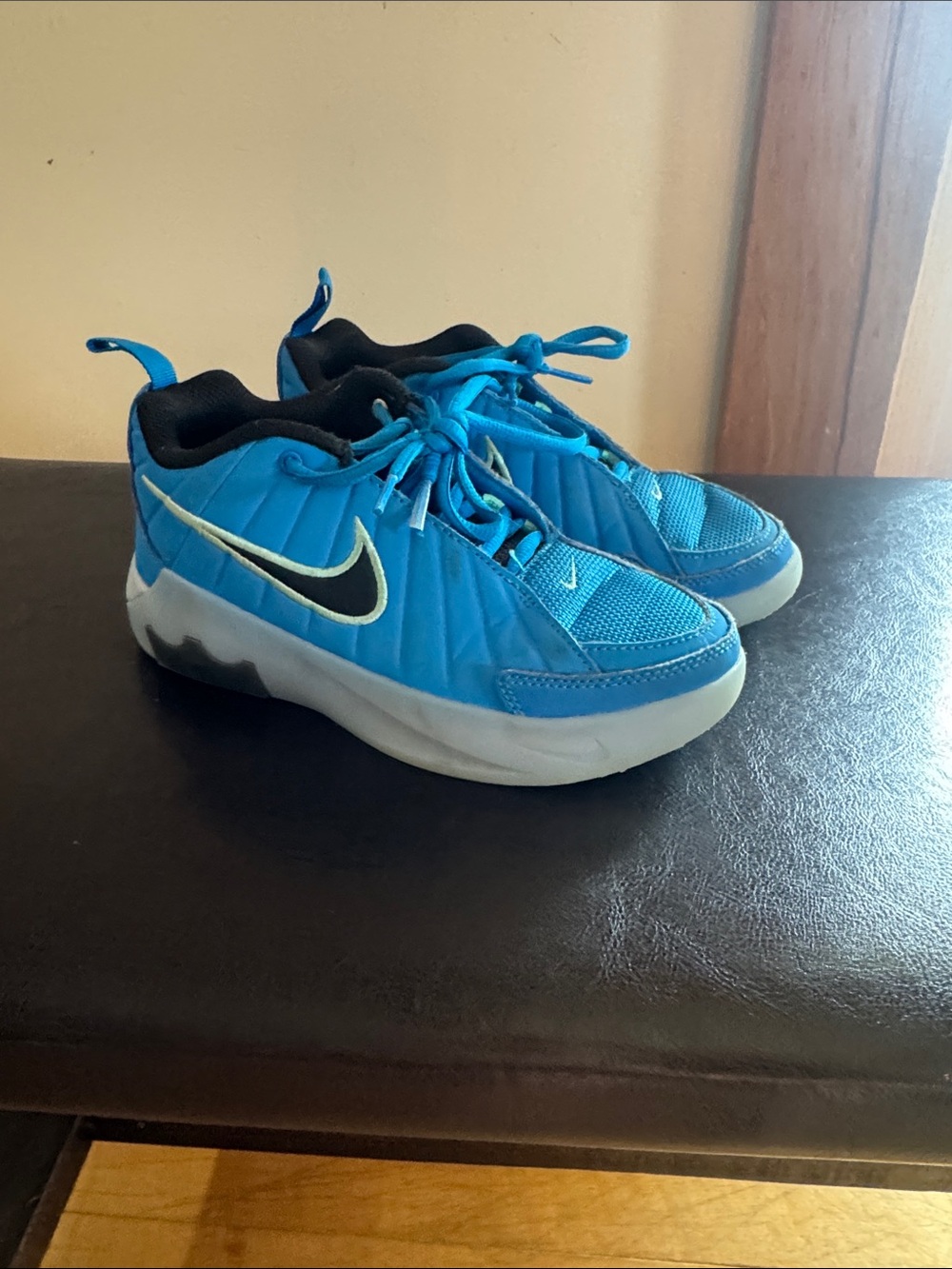 Nike LeBron Basketball Sneakers